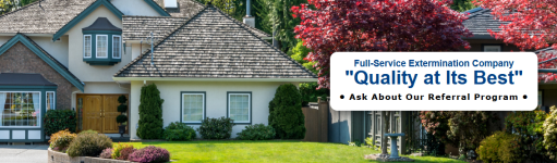 Pest Control Near Me in Portland - Safe & Effective Service - photo 2 / 2