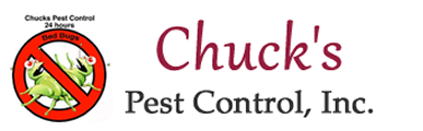 Pest Control Near Me in Queens NY - Safe & Effective Service - Queens - Insect Control listing
