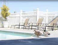 Modern Apartments in Fresno - Fresno - Apartments for Rent listing