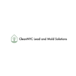 Why Choose Clean NYC Lead and Mold Solutions for Your Proper - photo 1 / 1