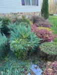 Diaz Lawn Care And Landscaping - photo 4 / 4