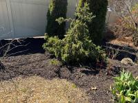 Diaz Lawn Care And Landscaping - photo 2 / 4