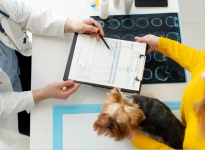 Pet Routine Exams in Sacramento for Preventive Veterinary Care - Routine Checkups listing in Sacramento