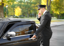 Luxor Chauffeur - photo 1 / 1