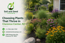 Reliable Landscaping Designed for Long-Term Performance - Lawn Care Services listing in Albany