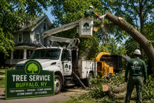 Professional Tree Service Buffalo NY for Stronger, Safer Outdoor Space - Lawn Care Services listing in Buffalo