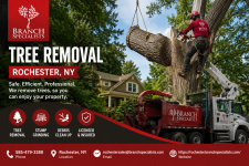 Expert Tree Removal Rochester NY for Clean and Beautiful Property - Tree Trimming listing in Rochester