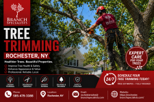 Professional Tree Trimming Rochester NY - Tree Trimming listing in Rochester