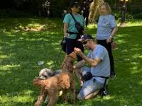 PJH Dog Training - New York Dog Training - photo 3 / 6