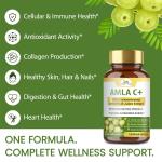 Buy Bulk Amla Vitamin C Capsules| Amla supplement | Wholistic zone - photo 2 / 3