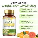 Buy Bulk Amla Vitamin C Capsules| Amla supplement | Wholistic zone - photo 3 / 3