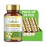 Buy Bulk Amla Vitamin C Capsules| Amla supplement | Wholistic zone - Health & Beauty Products listing in Austin