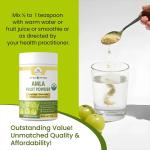 Buy Organic Amla Powder | Amla Powder Manufacturer - wholisticzon - photo 3 / 3