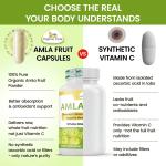 Wholesale Amla Fruit Capsules | Organic Amla Capsules | wholistic zone - photo 3 / 3