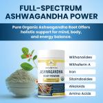 Buy Ashwagandha Root Powder | Bulk Manufacturer | Wholistic zone - photo 3 / 3