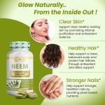 Buy Private Label Neem Capsules in Bulk | Wholistic Zone - photo 3 / 3