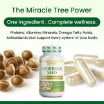 Bulk Moringa Seed Capsules | moringa oleifera seeds | Wholistic zone - photo 3 / 3