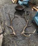 Trophy Elk Antlers – Matching Shed Sets & Mounted Bull for Sale - photo 3 / 3