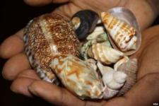 Lost Love Spell Caster  + 256702530886 win court cases spells SOUTH AF - French Classes listing in Burlington
