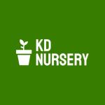 Emerald Green Arborvitae Landscape Design & Planting Ideas - Tree Trimming listing in Albany