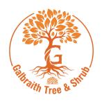 Tree Service Company Near Me for Complete Tree Care Solutions - Tree Trimming listing in Buffalo