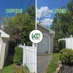 Top Rated Tree Removal Albany NY | KD Tree Service Albany NY - photo 2 / 3