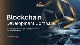 Blockchain Development Company You Can Trust – BidBits - Financial Planning listing in Akron