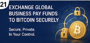 MONETIZE VIRTUAL CURRENCY & VIRTUAL FUNDS; GLOBAL BUSINESS PAY ONLINE - General listing in Albany