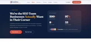 Professional SEO Services for Better Google Rankings - E-commerce Development listing in Southfield