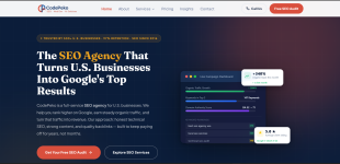 Professional SEO Services for Better Google Rankings - photo 5 / 6