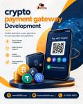 crypto payment gateway development services - Custom Software Development listing in Akron