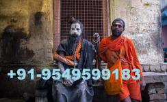 Black Magic Problem Solution Specialties Astrologer Baba Ji - General listing in Jersey City