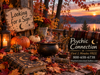 It’s a Season for Curiosity… What Have You Been Wondering About? - General listing in Orlando