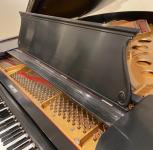 Steinway Baby Grand & Sons Looking for a new Home - photo 3 / 3