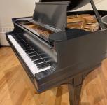Steinway Baby Grand & Sons Looking for a new Home - photo 2 / 3