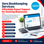 Xero Bookkeeping Services: Save Time and Reduce Bookkeeping Costs - Financial Consulting listing in Levittown