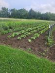 ⭐ Global Management Team – Farmland Investment Opportunities - Real Estate Services listing in Miami